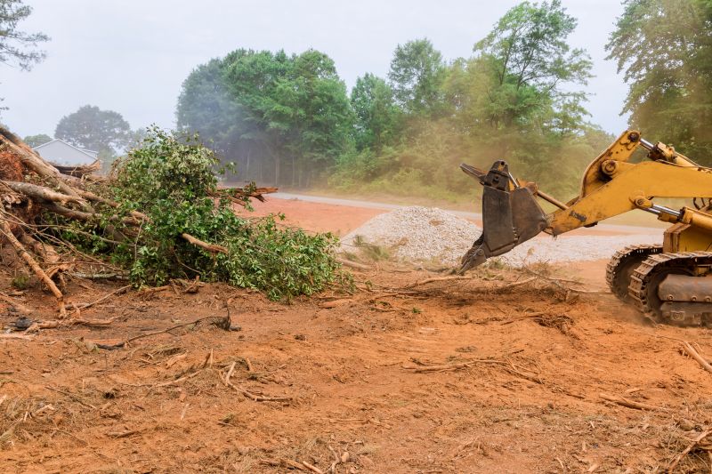 Site Cleaning in Gwinnett County, GA