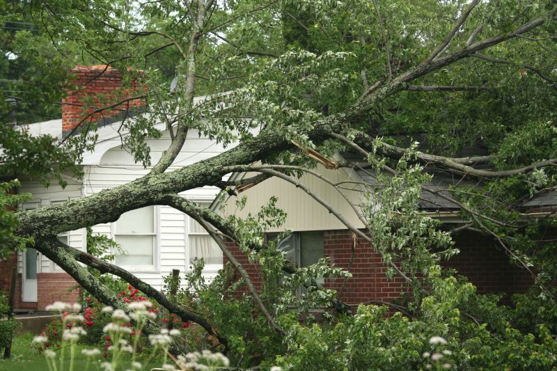 Emergency Tree Removal in Montgomery County, PA