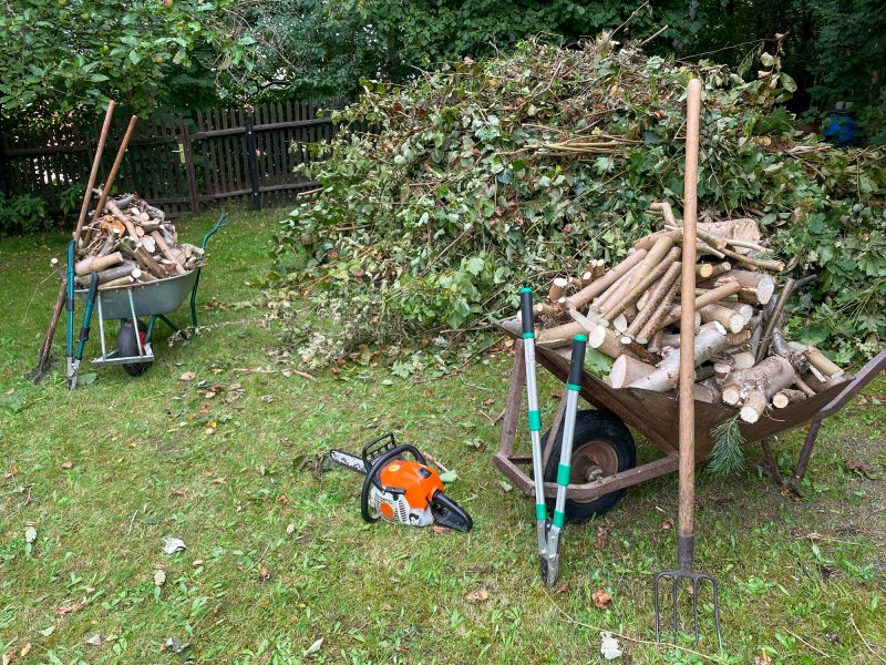 Clearing Debris from Driveways