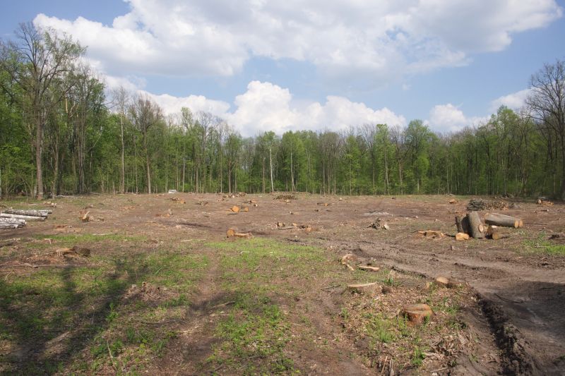 Farm Clearing in Cumming, GA
