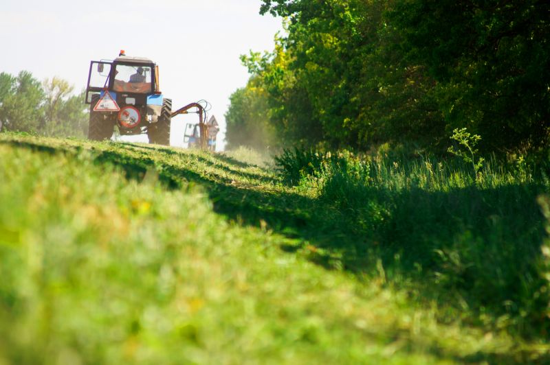 Ground Clearing in Cumming, GA