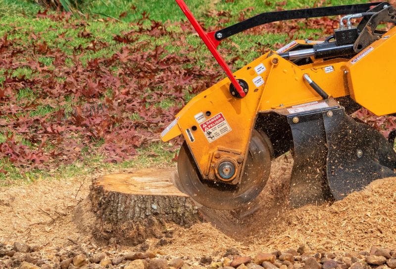 Stump Grinding Process
