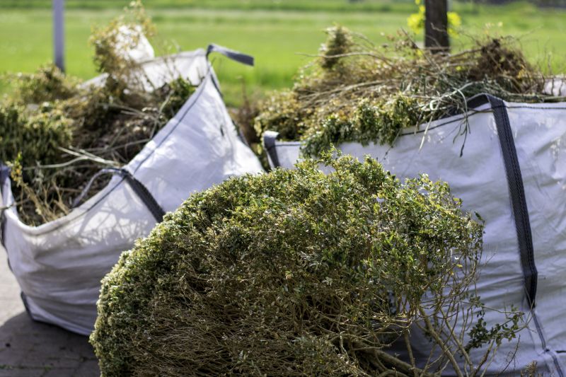 Site Cleaning in Gwinnett County, GA