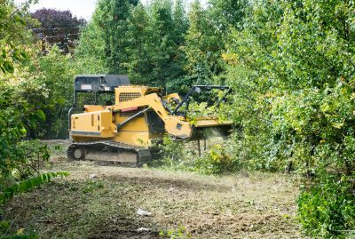 Site Clearing Service in Cumming, GA